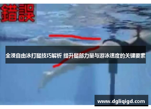 全浸自由泳打腿技巧解析 提升腿部力量与游泳速度的关键要素