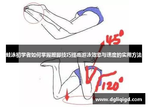 蛙泳初学者如何掌握蹬脚技巧提高游泳效率与速度的实用方法